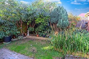 Rear Garden- click for photo gallery
